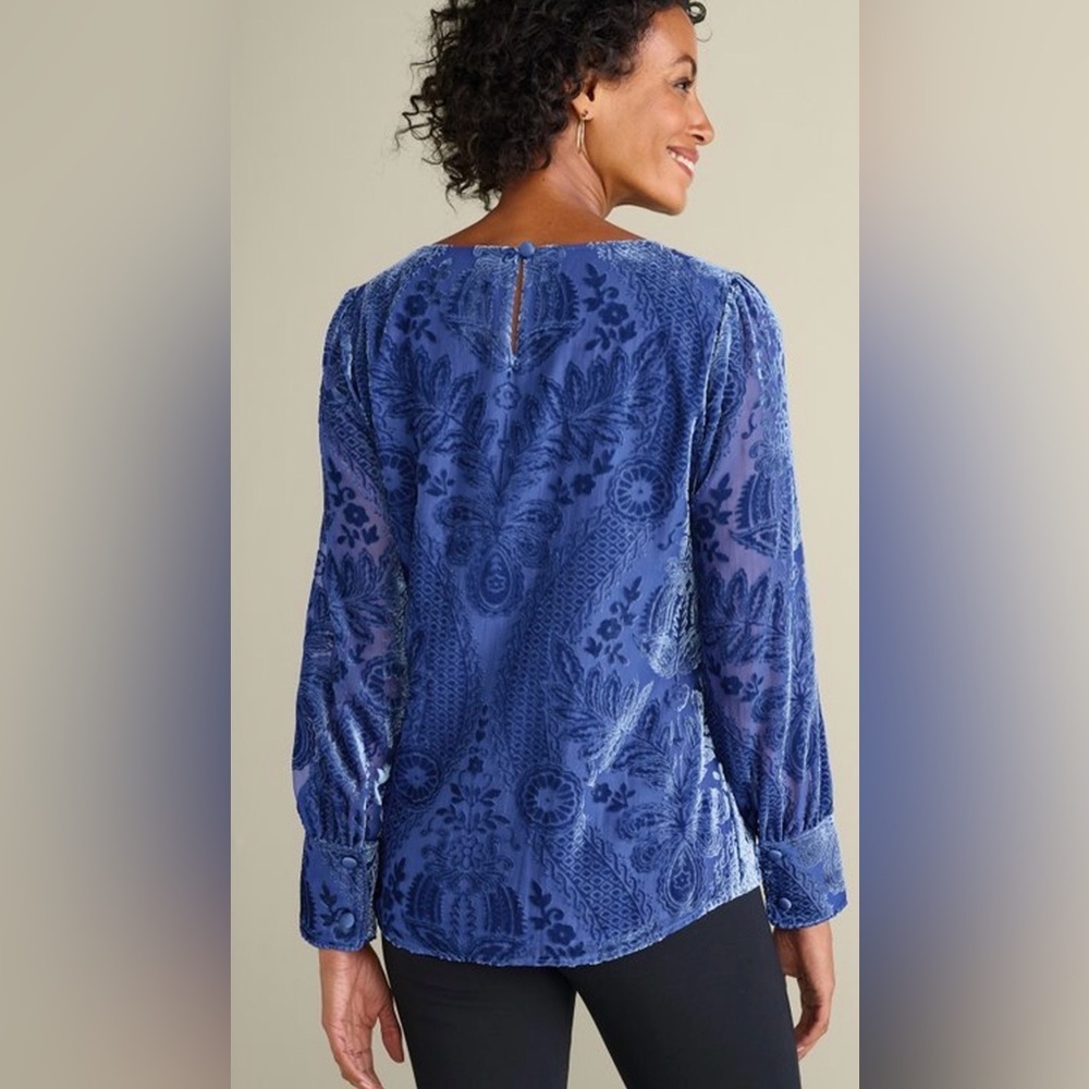 Soft Surroundings Sapphire Blue Velvet Burnout Vanetta Top Artsy Boho XL - Picture 2 of 12